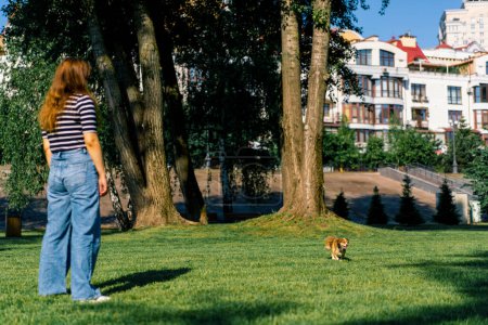 Téléchargez les photos : Mignon petit chien court vers le propriétaire Attrayant jeune entraîneur féminin joue avec son animal drôle intelligent dans le parc - en image libre de droit