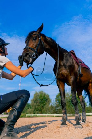 Téléchargez les photos : Une cavalière dans un casque étreint et gratte son beau cheval noir avec sa main à l'arène équestre pendant une promenade à cheval - en image libre de droit