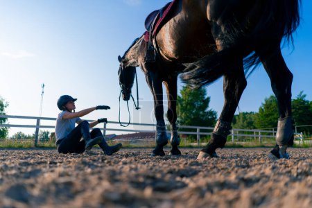 Photo for A helmeted rider feeds her beautiful black horse from her hand in the equestrian arena during horseback ride - Royalty Free Image
