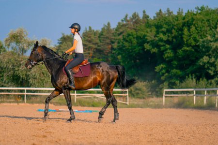 Téléchargez les photos : Une cavalière vêtue d'un casque monte son beau cheval noir dans une arène d'équitation pendant une promenade à cheval - en image libre de droit