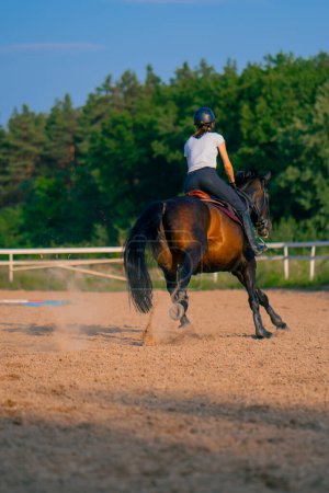 Photo for A horsewoman dressed in a helmet rides her beautiful black horse in a horse riding arena during horseback ride - Royalty Free Image