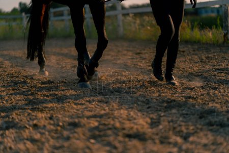 Foto de Primer plano de los cascos de caballo negro durante un paseo a caballo en la arena el concepto de amor por los deportes ecuestres - Imagen libre de derechos