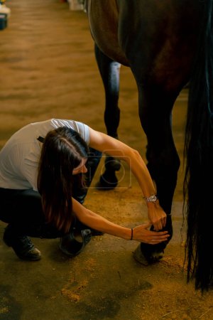 Téléchargez les photos : Close-up fille stable met un tampon sur les jambes d'un cheval dans une écurie Le concept de l'amour pour les sports équestres et les chevaux - en image libre de droit