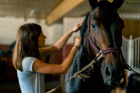 Foto de Primer plano de chica trabajadora estable peinando la crin de un caballo negro en un concepto estable de amor por el deporte ecuestre - Imagen libre de derechos