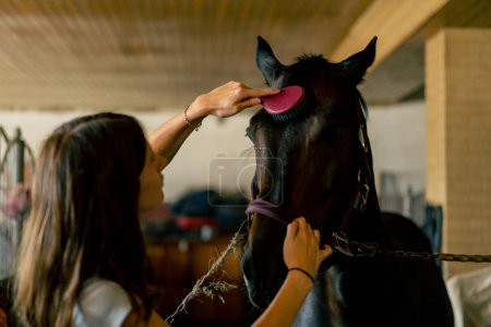 Foto de Primer plano de chica trabajadora estable peinando la crin de un caballo negro en un concepto estable de amor por el deporte ecuestre - Imagen libre de derechos