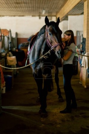 Foto de Un jinete pone silla de montar en su caballo negro en los establos en preparación para el concepto ecuestre de la carrera - Imagen libre de derechos