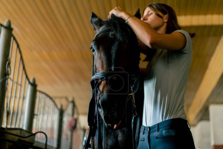Téléchargez les photos : Une cavalière met son harnais sur son cheval noir dans les écuries en préparation du concept de course équestre - en image libre de droit