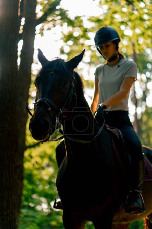 Photo for A rider dressed in a helmet rides her beautiful black horse in the forest during horseback ride - Royalty Free Image