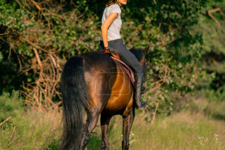 Foto de Una jinete vestida con un casco monta su hermoso caballo negro en el bosque durante el paseo a caballo - Imagen libre de derechos