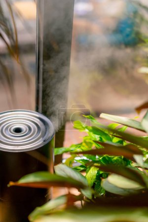 Téléchargez les photos : Gros plan d'un humidificateur avec vapeur sortant de l'appareil près des usines dans le restaurant - en image libre de droit