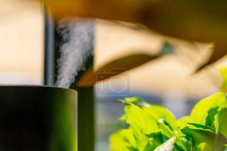 Photo for Close-up of a humidifier with steam coming out of the device near the plants in restaurant - Royalty Free Image