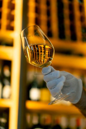 Foto de Un primer plano de una copa de vino sostenida por un sommelier en un restaurante italiano sobre el fondo de la estantería del vino - Imagen libre de derechos