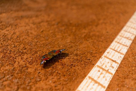 Téléchargez les photos : Gros plan d'un papillon sur un court de tennis en terre battue petit insecte - en image libre de droit
