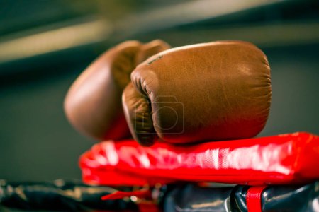 Photo for Sports equipment in the gym boxing gloves on the ropes of the ring active sports professional training closeup - Royalty Free Image