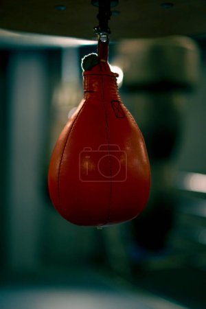 Photo for Sports equipment in gym punching bags active sports professional training - Royalty Free Image