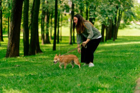 Foto de Niña en el parque en un paseo jugando con un palo con el cuidado del perro rojo pequeño y el amor por los animales - Imagen libre de derechos
