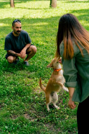 Téléchargez les photos : Portrait d'un jeune couple amoureux marchant dans le parc avec leur animal de compagnie jouant avec lui sur l'herbe son amour pour les chiens soins romance - en image libre de droit