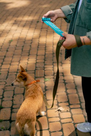 Foto de Bolsas de basura de mano hembra de primer plano para limpiar después del cuidado de animales del parque de mascotas - Imagen libre de derechos
