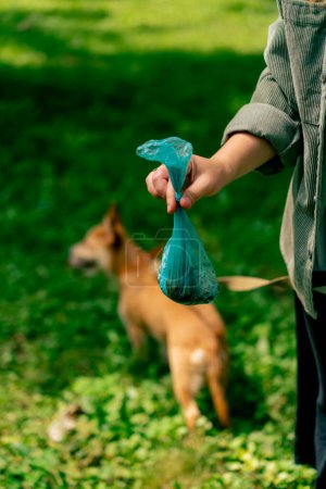Foto de De cerca Mujer recogiendo caca de perro del césped en un parque de la ciudad Una mujer está sosteniendo bolsa de plástico azul con excremento de mascotas protección del medio ambiente - Imagen libre de derechos