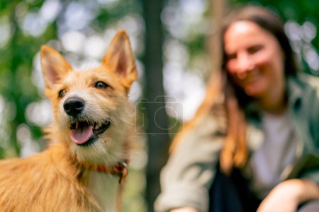 Photo for A young girl walking in the park with her dog, playing with a stick and teasing him with close-up of the animal - Royalty Free Image