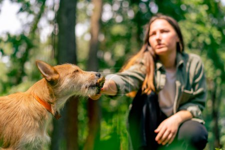 Téléchargez les photos : Portrait d'une jeune fille marchant dans le parc avec son chien, jouant avec le bâton et le taquinant avec - en image libre de droit