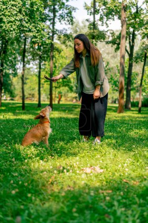 Photo for Portrait of a young girl walking in the park with her dog, playing with stick and teasing him with it - Royalty Free Image