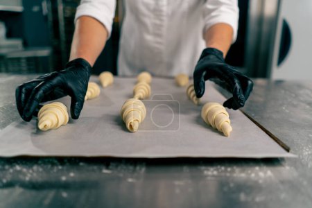 Photo for Close-up shot of a female baker's hands placing shaped uncooked croissants on a baking sheet with parchment for baking in the oven - Royalty Free Image
