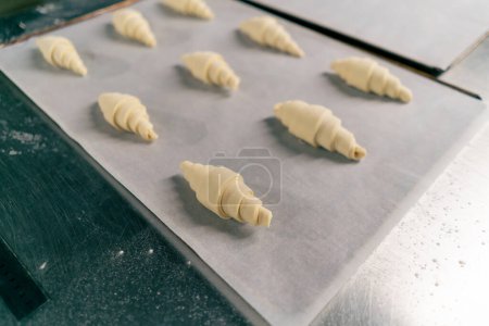 Téléchargez les photos : Des croissants identiques semi-finis se trouvent sur la surface de la cuisine prêts pour la cuisson et les ventes de boulangerie - en image libre de droit
