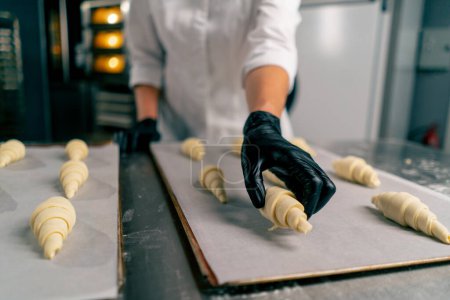 Téléchargez les photos : Plan rapproché des mains d'une boulangère plaçant des croissants non cuits sur une plaque à pâtisserie avec du parchemin pour la cuisson au four - en image libre de droit