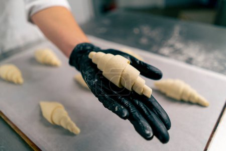 Foto de Primer plano de las manos de una pastelera colocando croissants sin cocer en forma en una bandeja para hornear con pergamino para hornear en el horno - Imagen libre de derechos