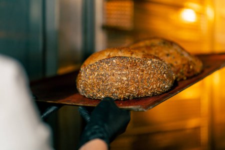 Foto de Primer plano de pan caliente recién horneado de pie en una bandeja para hornear y ser terminado en el horno en - Imagen libre de derechos