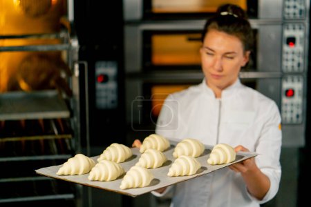 Téléchargez les photos : Le boulanger met des croissants crus moelleux disposés sur du parchemin sur une plaque à pâtisserie pour cuire au four - en image libre de droit