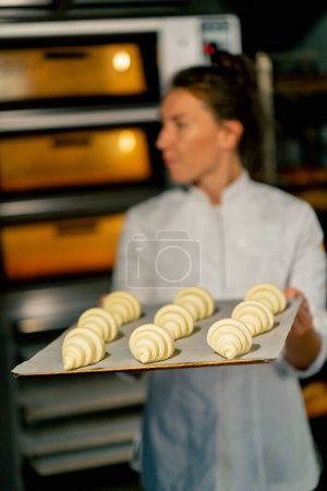 Photo for The baker puts fluffy raw croissants laid out on parchment on a baking sheet to bake in the oven - Royalty Free Image
