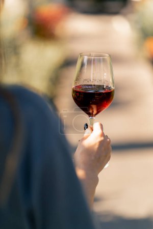 Téléchargez les photos : Gros plan de la main d'une femme dans un jardin ensoleillé tenant un verre rempli de vin rouge vieilli - en image libre de droit