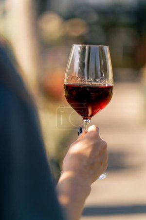 Téléchargez les photos : Gros plan de la main d'une femme dans un jardin ensoleillé tenant un verre rempli de vin rouge vieilli - en image libre de droit