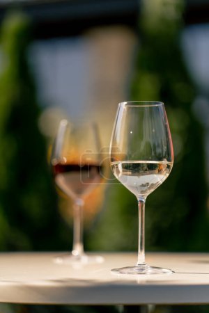 Foto de Vasos de vino de diferentes variedades se colocan sobre una mesa para degustar en el jardín de una bodega - Imagen libre de derechos