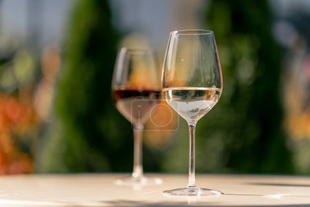 Photo for Glasses of wine of different varieties stand on a table for tasting in the garden of a winery - Royalty Free Image