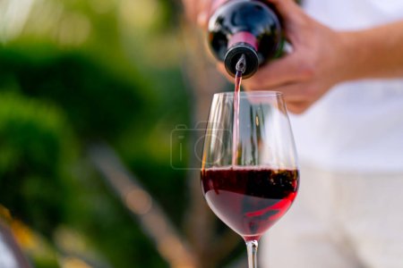 Foto de Primer plano de la mano de un sommelier masculino vertiendo vino envejecido de una botella en una copa para degustar en un viñedo - Imagen libre de derechos
