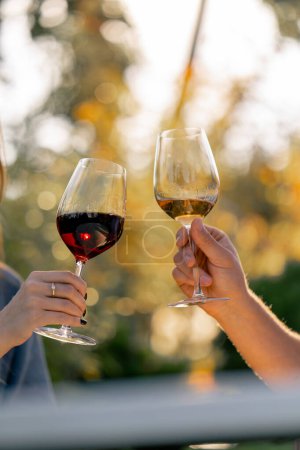 Téléchargez les photos : Gros plan des mains d'un homme et d'une femme tenant des verres de différents types de vin et des verres à cliquet sur une plantation de raisins - en image libre de droit