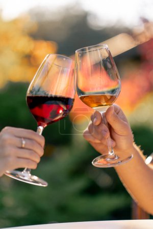 Téléchargez les photos : Gros plan des mains d'un homme et d'une femme tenant des verres de différents types de vin et des verres à cliquet sur une plantation de raisins - en image libre de droit