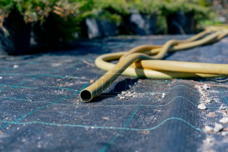 Photo for Close-up shot of a turned off hose for watering flowers and plants lying on the ground in the garden - Royalty Free Image