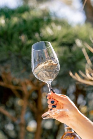 Téléchargez les photos : Gros plan de la main d'une femme tenant un verre de vin près de la tige et le tordant au soleil - en image libre de droit