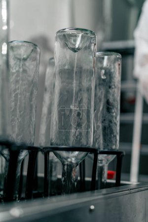 Photo for Empty clean transparent glass wine bottles stand upside down and ready to be filled with drink at a winery - Royalty Free Image