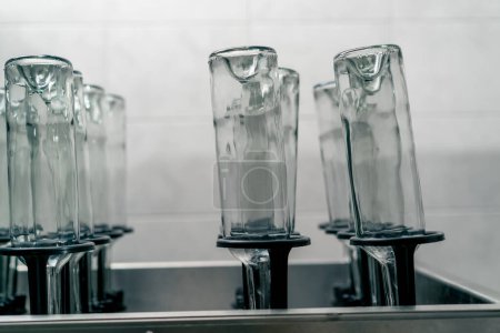 Foto de Botellas de vino de vidrio transparente limpias vacías de pie boca abajo y listas para ser llenadas con bebida en una bodega - Imagen libre de derechos