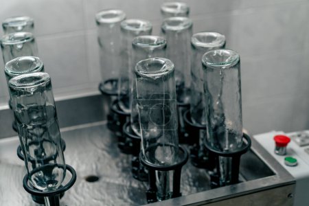 Foto de Botellas de vino de vidrio transparente limpias vacías de pie boca abajo y listas para ser llenadas con bebida en una bodega - Imagen libre de derechos