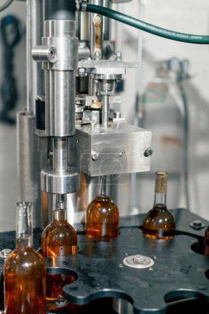 Foto de Las botellas de vidrio transparente llenas de vino se disponen en fila en la línea de embalaje para ser cerradas con tapones de madera - Imagen libre de derechos