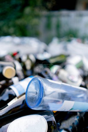 Foto de Primer plano de botellas de vidrio envasadas en una bolsa de basura especial en una estación de reciclaje de residuos para su eliminación - Imagen libre de derechos