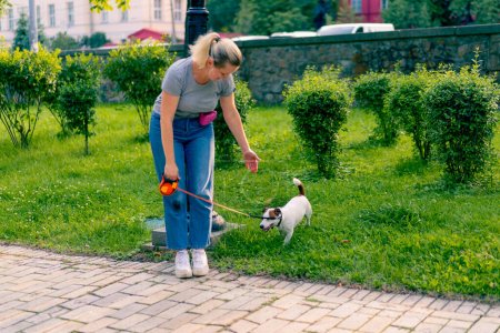 Téléchargez les photos : Le propriétaire d'un petit chien actif drôle Jack Russell promenades avec elle dans le parc de la ville l'animal est en laisse - en image libre de droit