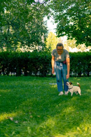 Téléchargez les photos : Zoo psychologue ou formateur travaille avec un petit Jack Russell terrier dans le parc socialise l'équipe d'exercices pour chiens à proximité prendre soin des animaux - en image libre de droit