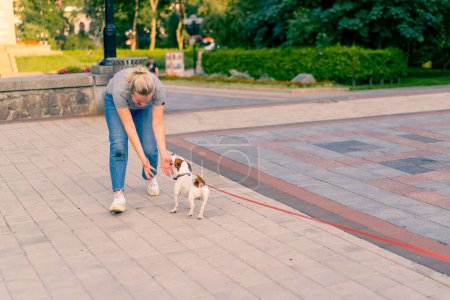 Téléchargez les photos : Une femme se promène dans un parc de la ville avec le chien de la race Jack Russell amour pour les animaux loisirs actifs - en image libre de droit